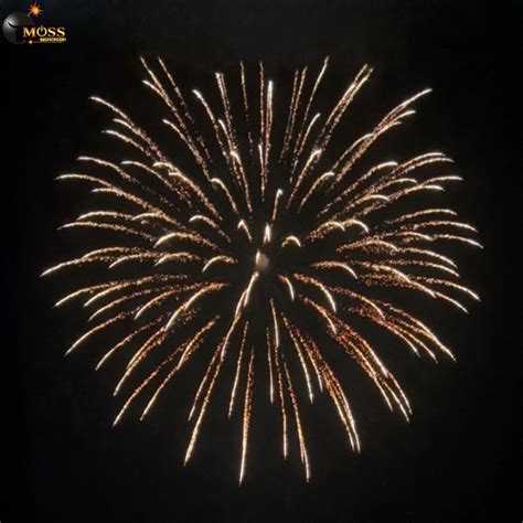 Image result for 8 Inch Firework Shell