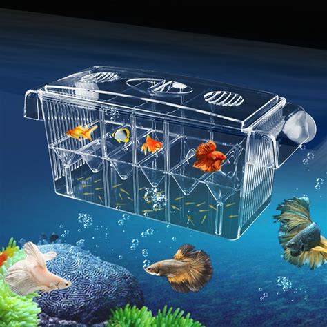 MaoTopCom MKDcom 4 Rooms HD Fish breeding Box Aquarium breeding Box ...