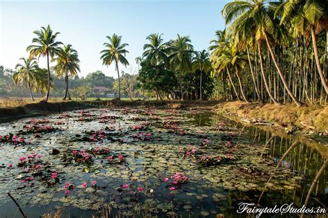 Visit Diglipur - North Andaman Island, India - The Andaman Odyssey