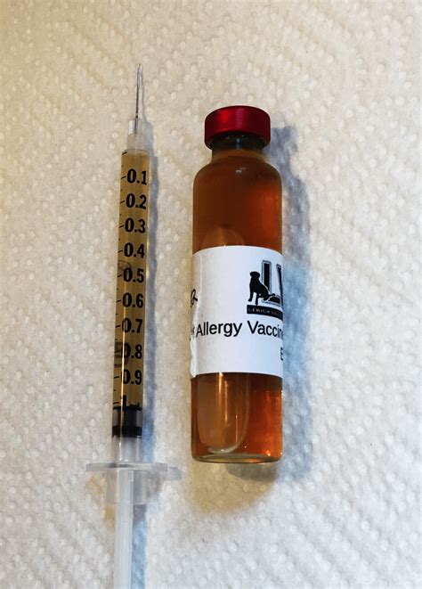 Allergic To Dogs Allergy Shots