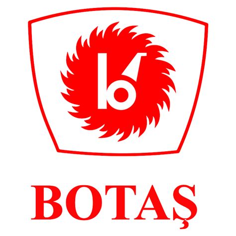 Image result for Botam Logo