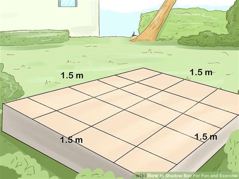 Image result for Shadow Box Exercise