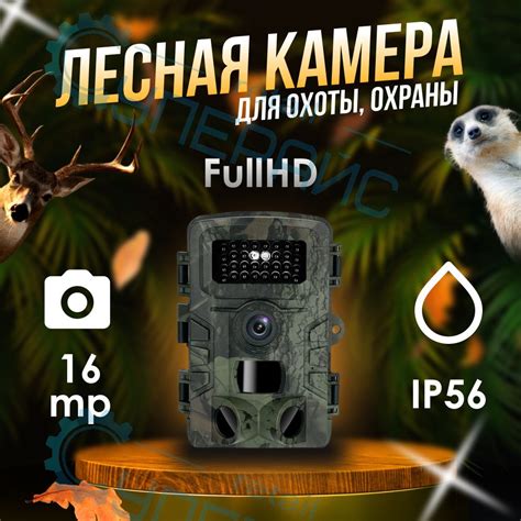 Фотоловушка для охоты и охраны Camuse PR700 / Лесная камера купить на ...