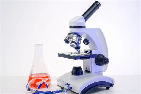 Microscope Labeled 的图像结果