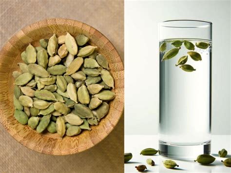 Holi detox after heavy festive binge with 5 easy tips increase your ...