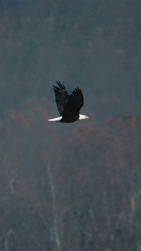 Things to consider in life. When luxury or the exotic comes knocking on ...