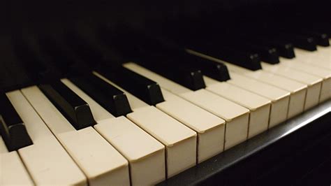 Image result for Piano Roblox Corpse Bride