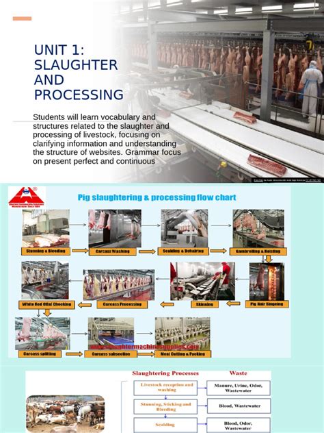 Slaughter Process 的图像结果
