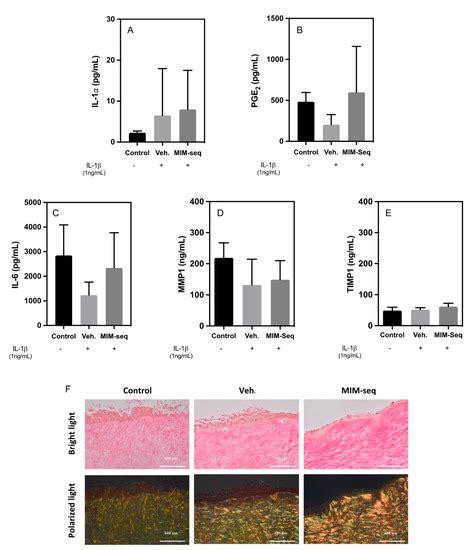 A Sequential Micro-Immunotherapy Medicine Increases Collagen Deposition ...
