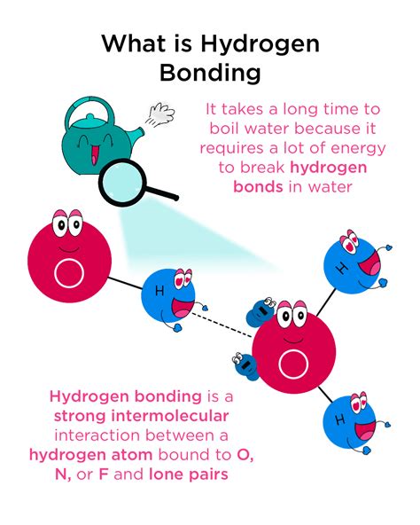 Hydrogen Bonding — Definition & Overview - Expii