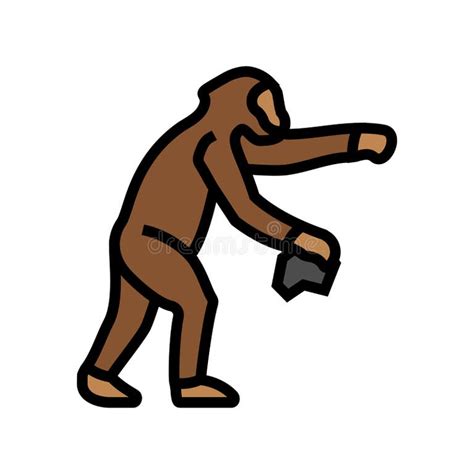 Australopithecus Evolution 的图像结果