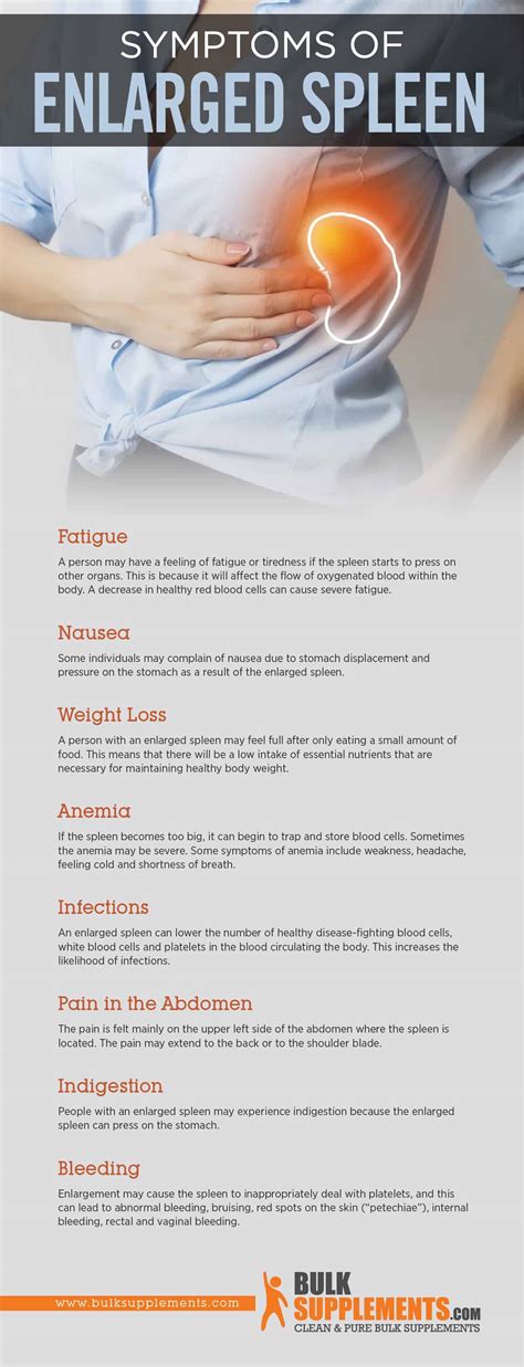 Enlarged Spleen? Get Relief From & Learn about Effective Supplements