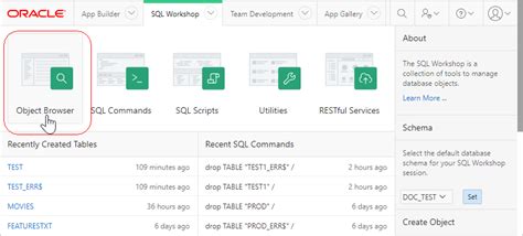 Image result for Oracle Object Browser with SQL Developer