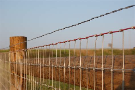 Post Installation: The Foundation of all Wire Fence Construction | Red ...