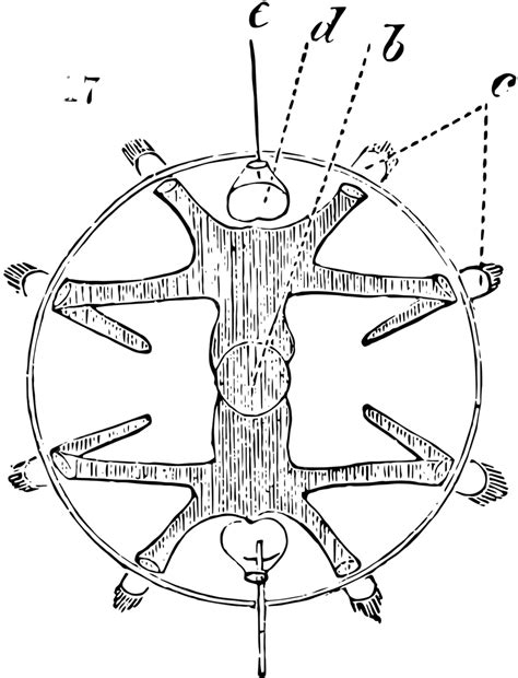 Image result for Transverse Line
