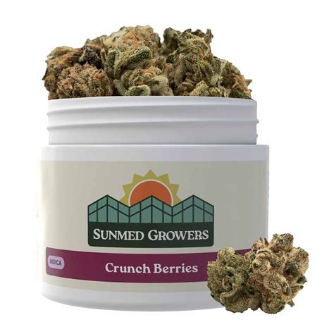 Buy Crunch Berries 3.5g Buds | 3.5g | SunMed | Cannabis Cumberland