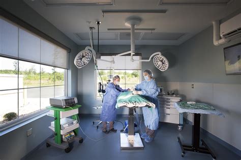 Veterinary Services | Lake Anna Veterinary Hospital