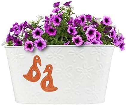 TrustBasket Duck Designer Oval Railing Planter - White : Amazon.in ...