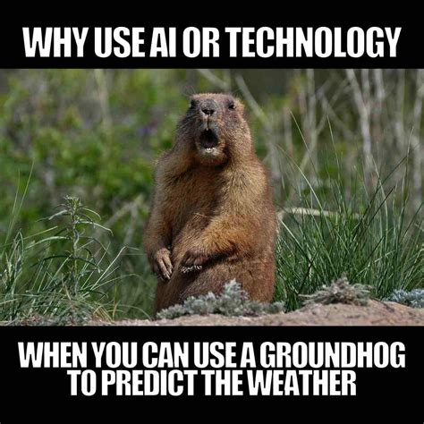 Funny Groundhog Day Memes About Winter, Burnout, And Vibes