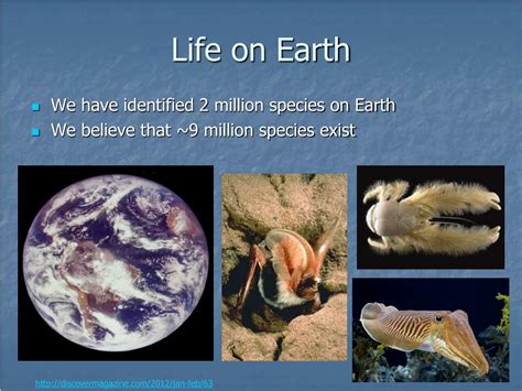 Evolution Map 的图像结果