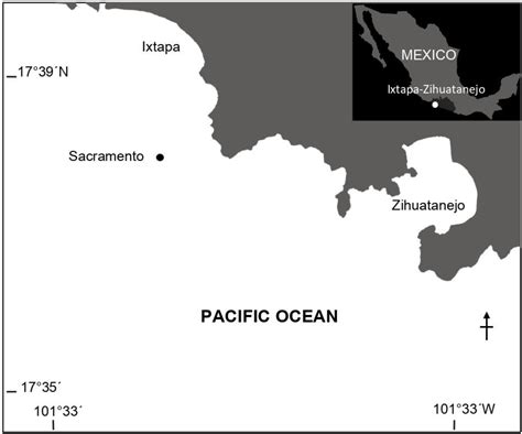 Assessment of macroalgae coverage in a scarcely studied deep rocky reef in the tropical eastern ...