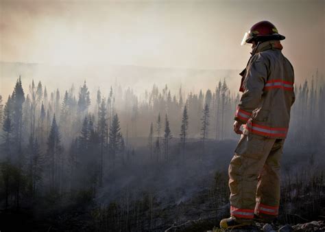 Image result for Overloading Circuits