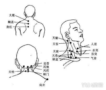 【图】颈部穴位按摩 正确的方法不仅美颈嫩肤还可预防疾病(3)_颈部穴位_伊秀美体网|yxlady.com