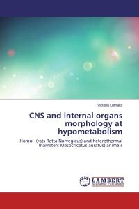 CNS and internal organs morphology at hypometabolism: Buy CNS and ...