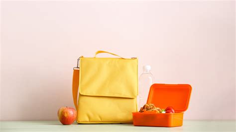 लंच बॉक्स वाले बैग्स हो गए हैं गंदे, तो ऐसे करें साफ | how to clean ...