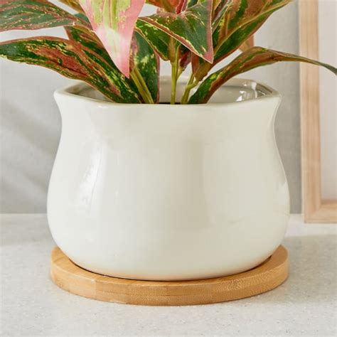 Buy Pots And Planters Online At Low Prices In India - Home Centre