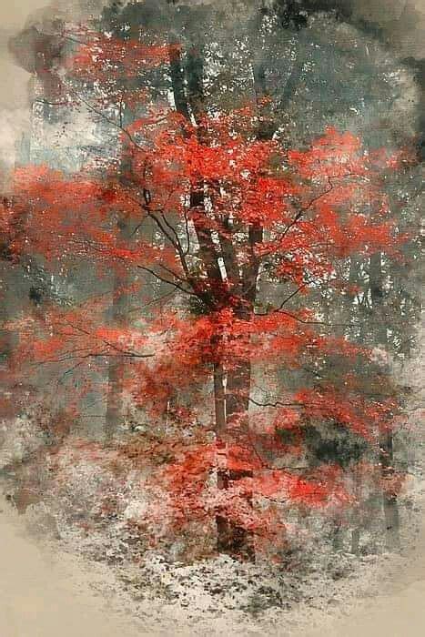 Image result for Tutorial Painting Red Tree