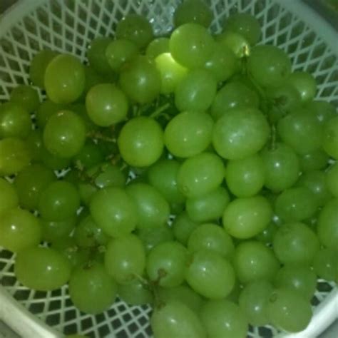 Calories in 1 cup, seedless Grapes (Red or Green, European Type ...