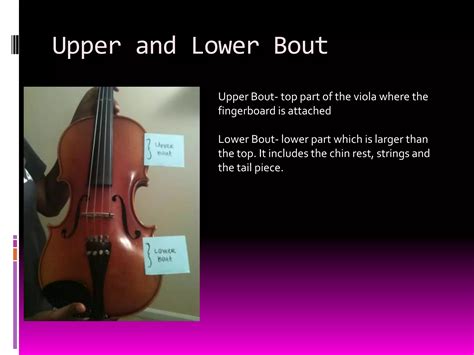 Image result for Viola Tutorial