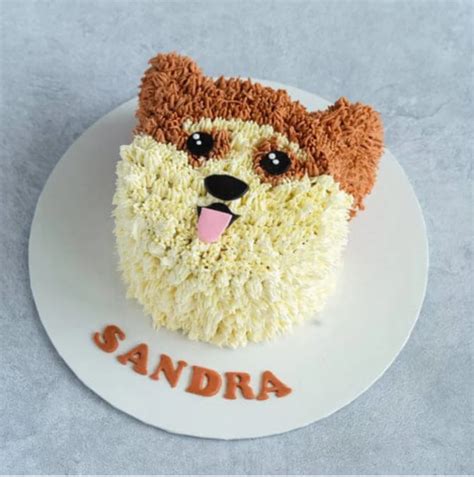 Corgi Dog Face Cake | Custom Dog Cakes | The Pet Belly