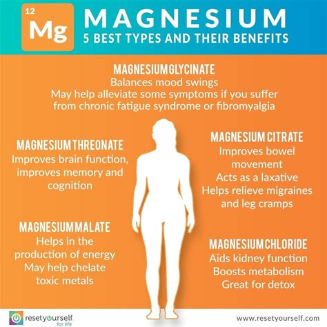 How Does Magnesium Help Your Body Function - EllieJobson