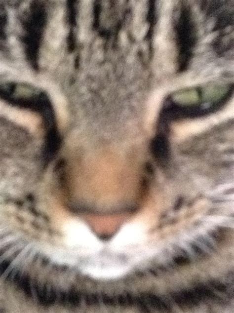 Image result for Alien Face Reveal