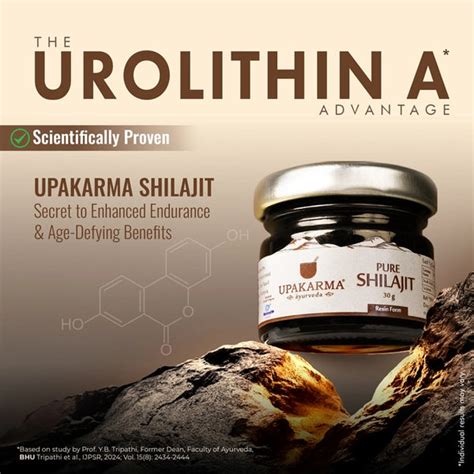 Upakarma Pure Shilajit Resin 30g - Pack of 2 - Upakarma Ayurveda