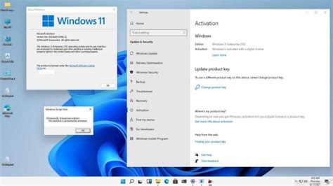 Microsoft Windows 11 Ltsc Pingvin Pro - Gambaran