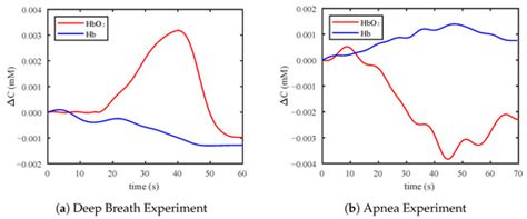 Electronics | Special Issue : Physical Diagnosis and Rehabilitation ...