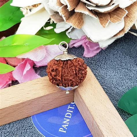Rudraksha Online Store: Buy Original Rudraksha Products - Pandit.com