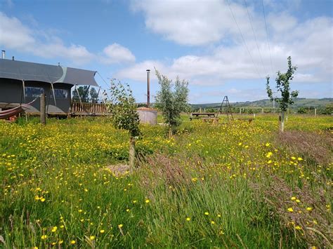 MIDDLE STONE FARM (Brompton Ralph) - Campground Reviews, Photos, Rate ...