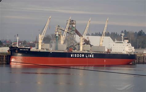 AMIS DOLPHIN, Bulk Carrier - Details and current position - IMO 9636371 ...