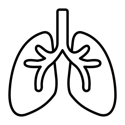Respiratory system, lungs vector icon on white background 18763758 ...