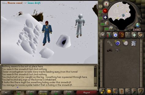 Image result for PSO2 Hunter Guide