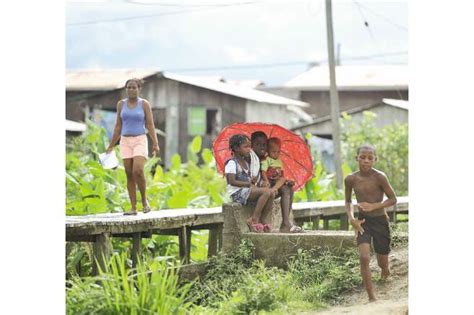 Cultivos ilícitos y marginalidad, retos del Pacífico | EL ESPECTADOR