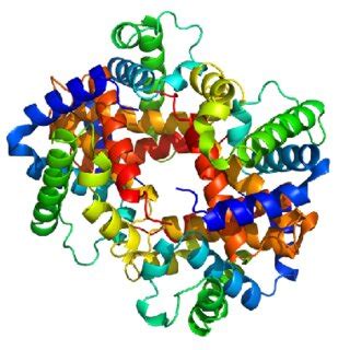 Image result for Haemoglobin PyMOL