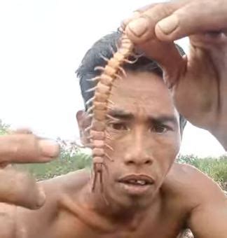 From snack to shock, man eats centipede like chocolate