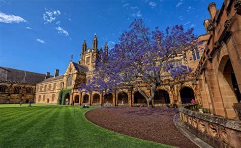 【重要】西澳大学关于2020年第二学期授课安排最新更新！ - 知乎