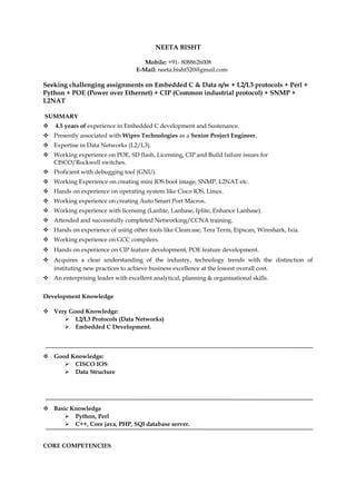 Image result for Neetcode Resume