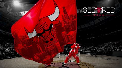 2015 See Red Wallpaper Chicago Bulls